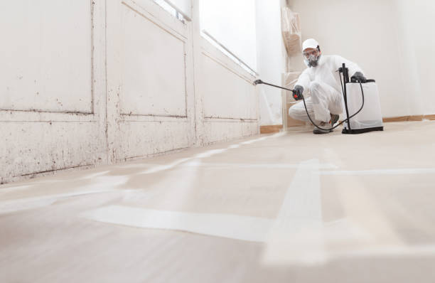 24/7 Emergency Black Mold Remediation experts in Kingston, NY